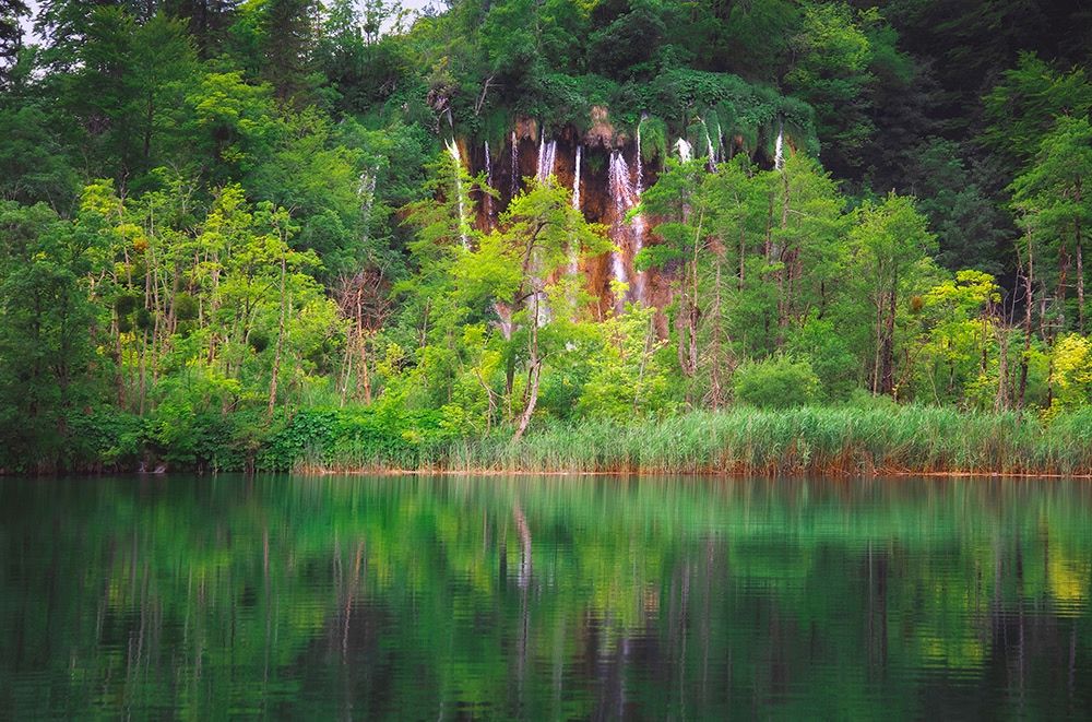 Veliki Prstavac waterfall in Plitvice, Croatia, is seen behind green trees and grass, a calm lake in the foreground reflects said trees and grass. 