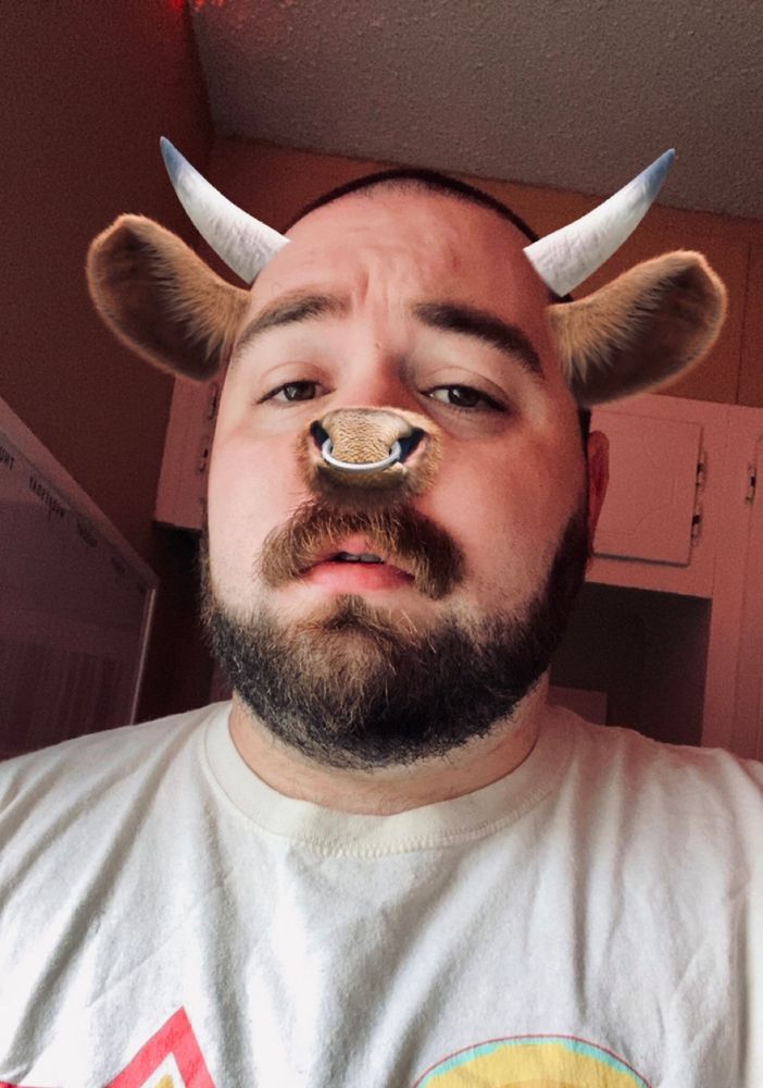 A selfie of me with a Snapchat filter giving me a cow ears and horns, and a snout with a nose ring. 