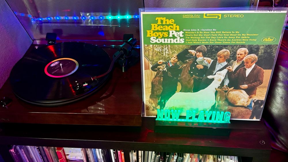 A black vinyl record is spinning on a dark wood turntable with a rainbow-colored Capitol Records label, under soft LED lighting. Positioned next to the turntable is the album cover for The Beach Boys – Pet Sounds, featuring the band members in a petting zoo interacting with goats and other animals. The cover's upper-left corner displays the bold yellow and white title text: “The Beach Boys Pet Sounds” on a green background, with track listings printed beside it in white and yellow. In front of the album cover is a green-lit acrylic sign reading “NOW PLAYING.” Below the setup, rows of vinyl records are neatly stored in a shelf.