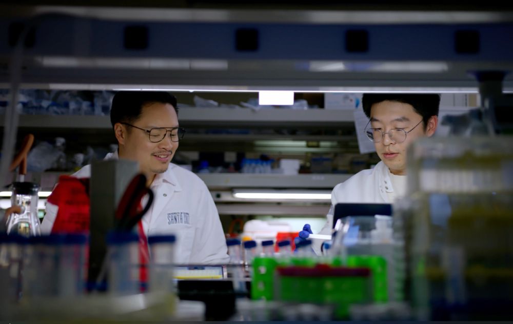 Assistant Professor of Biomolecular Engineering Andy Yeh develops artificial proteins in his lab.