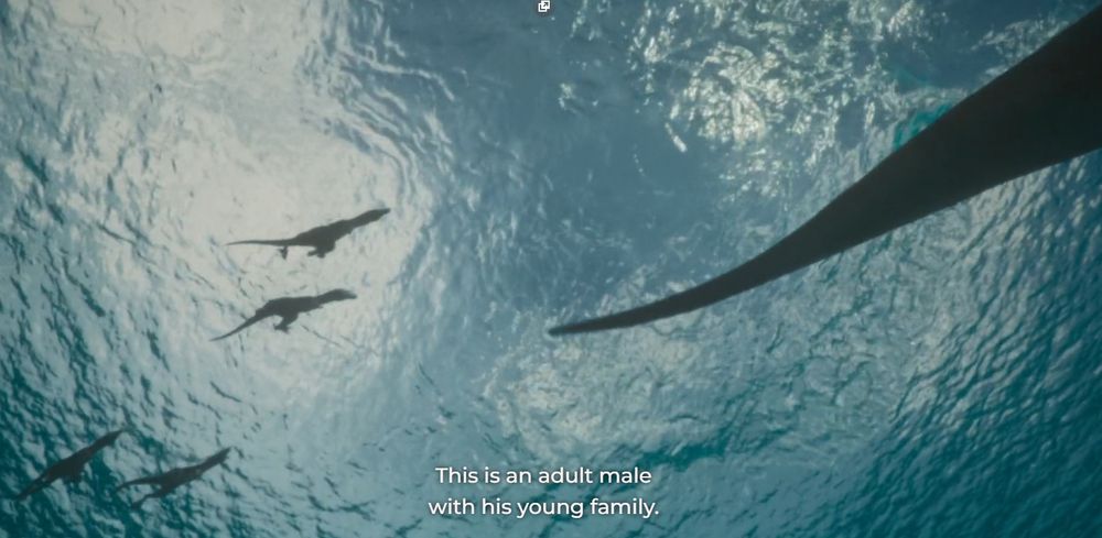 a screenshot from prehistoric planet's first episode: tiny t-rex and their dad swimming, the shot coming from beneath them