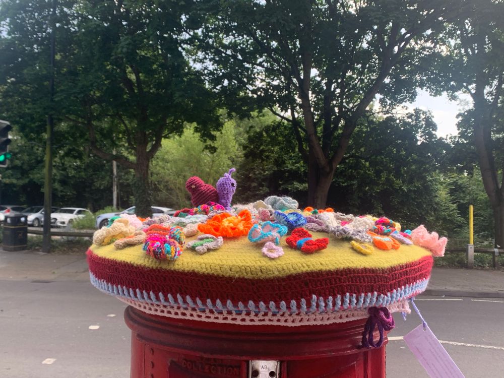 Topper on Didsbury Road 