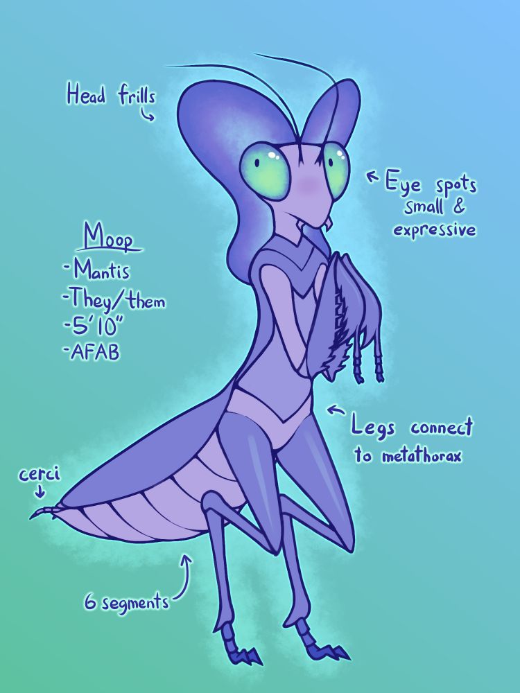 A 3/4 view reference image of Moop, the purple anthropomorphic mantis.