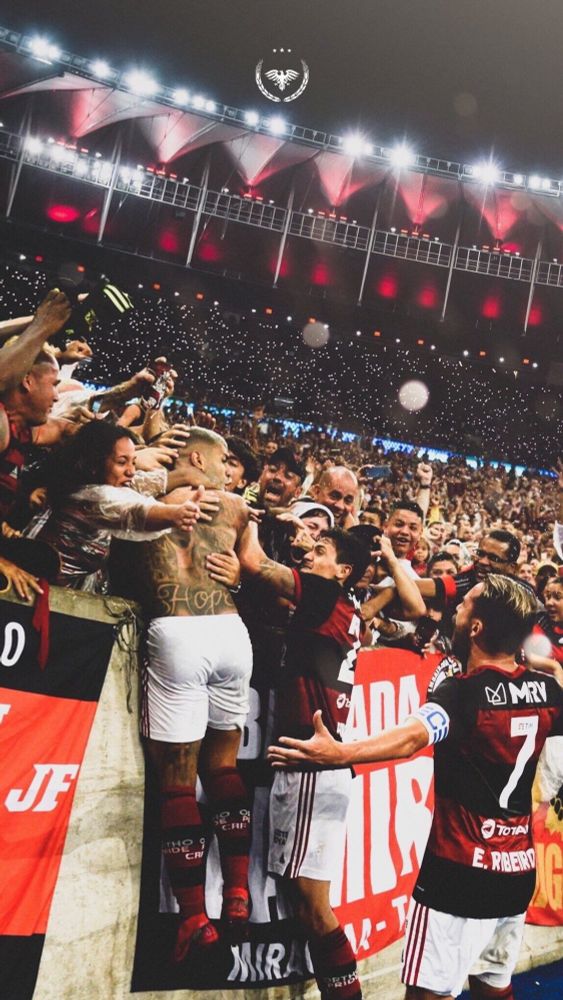 Gabigol sem camisa se jogando na arquibancada e sendo abraçado pela torcida