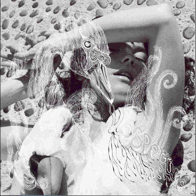 Vespertine by Björk