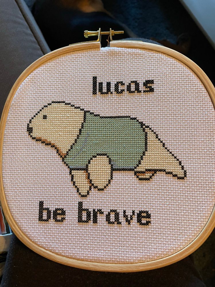 Cross stitch of a seal wearing a blue sweater. Above the seal it says “Lucas” and beneath the seal it says “be brave”
