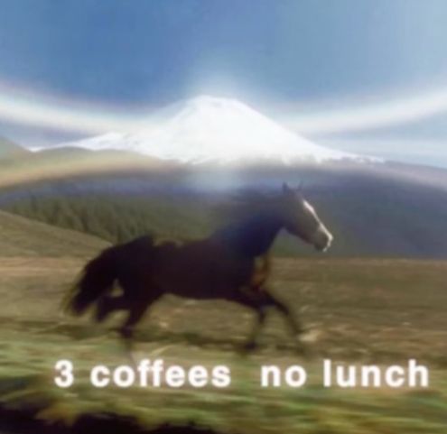 A blurry horse running with the words “3 coffees no lunch” under it 
