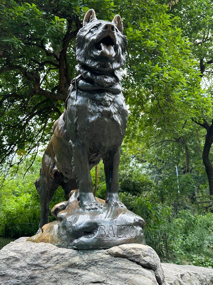 Balto statue, Central Park, New York 