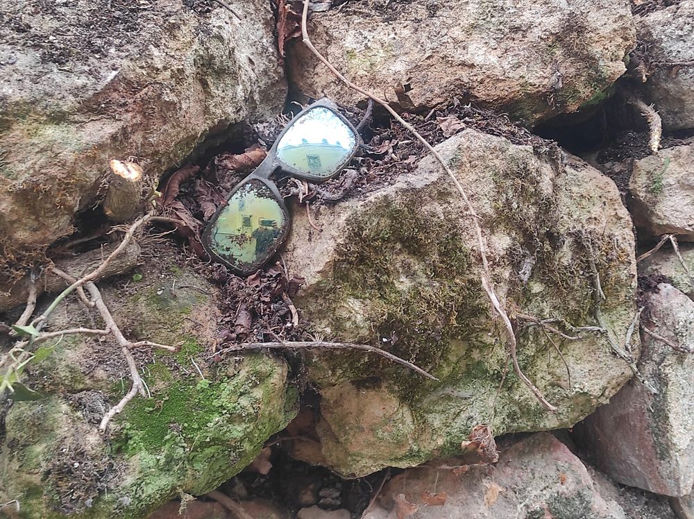 ©️ Cristian Berga 