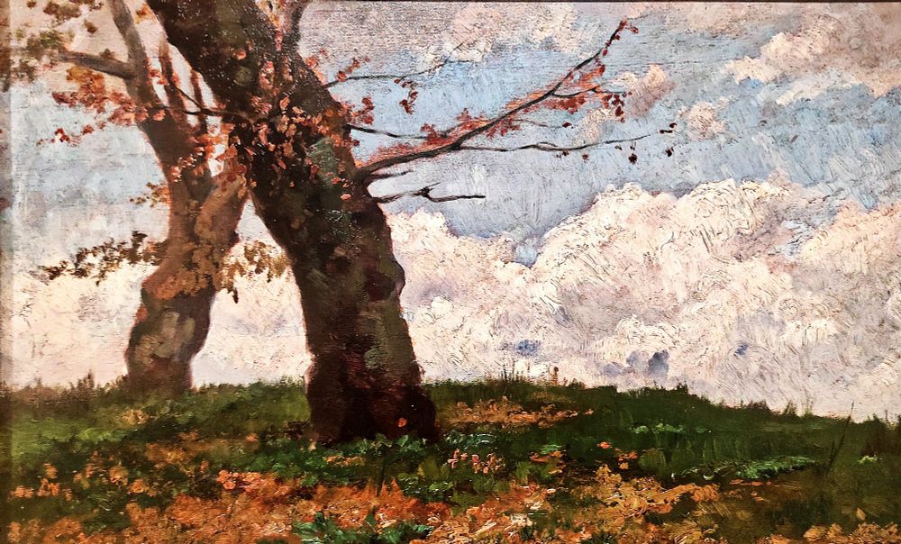 Fotografía: Cristian Berga 