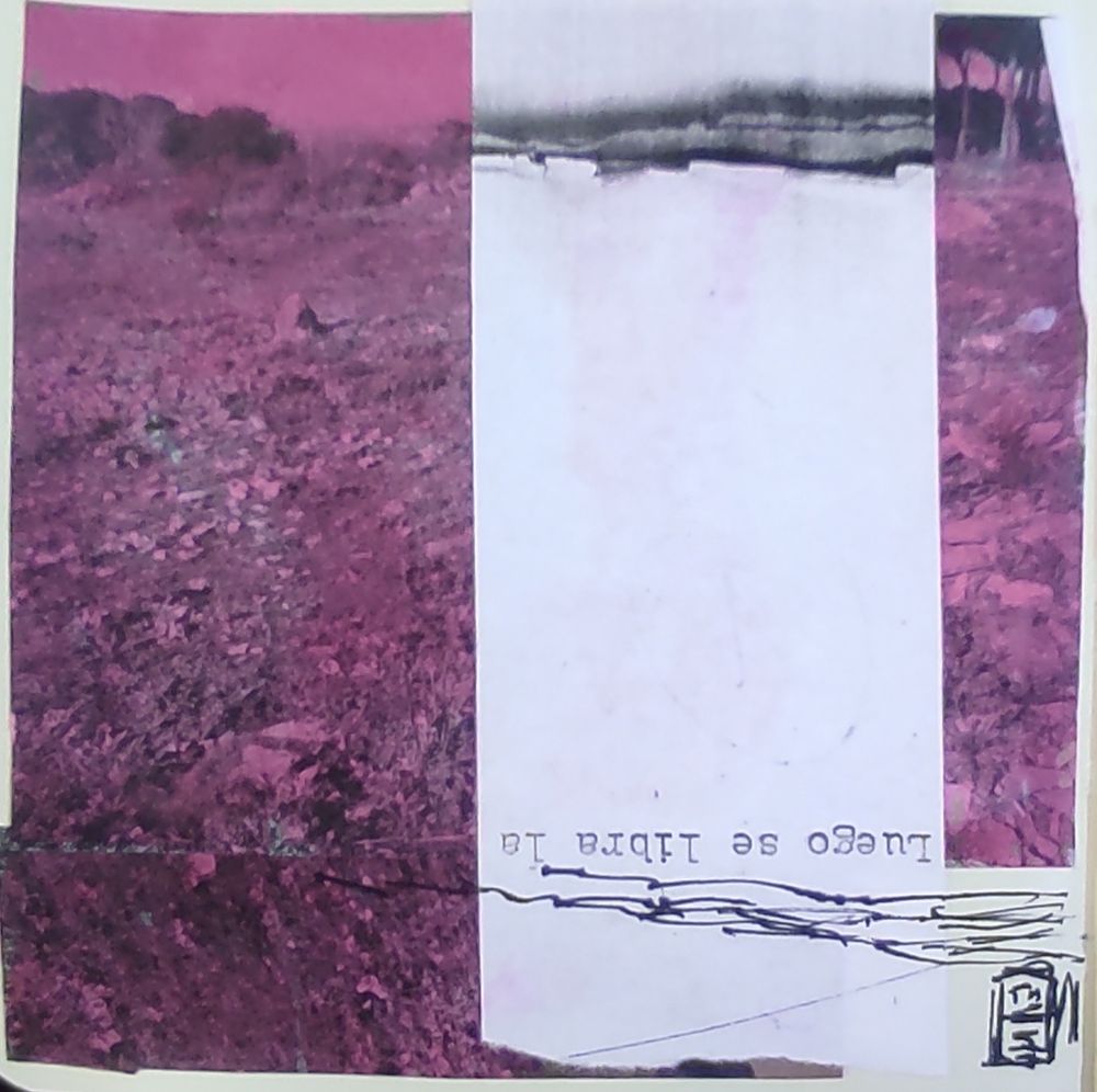 Collage de fotografía obtenida por impresora tintada con acuarela magenta, se le superpone papel de fotocopiadora y dibujo a tinta negra.
©️ Cristian Berga 