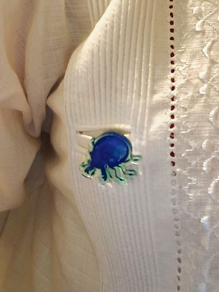 Pin de un escarabajo dibujado azul con los bordes en verde