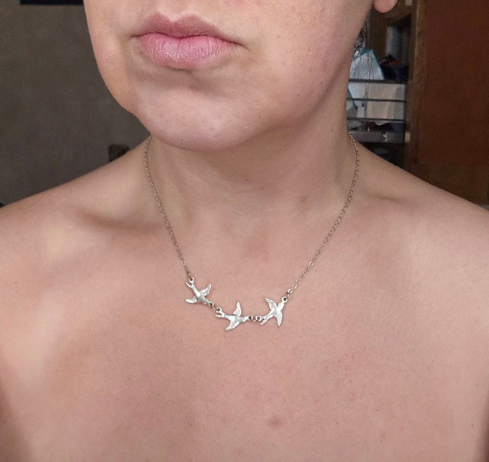 A white woman's mouth, chin, neck, & decolletage. She is wearing a necklace with 3 silver birds flying in a line. Her collarbones are visible & the one on the left side of the photo is lower & more pronounced than the one of the right.
