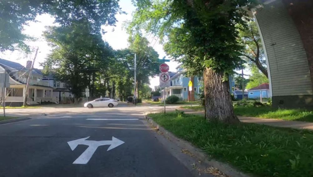 Children cross here - the people we share the road with