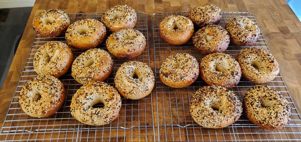 18 incredibly good-looking everything bagels cooling on racks
