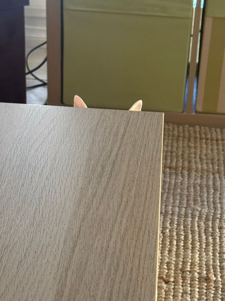 Cooper playing peekaboo 