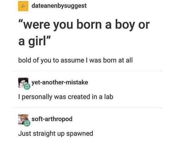 A screenshot of a tumblr post. The text reads: Were you born a boy or a girl?
One user responds: Bold of you to assume I was born at all
Another says: I personally was created in a lab
A third says: I straight up spawned