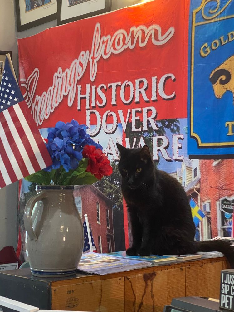 Nicholas, our gallery cat, loved to meet visitors from all over to our historic corner of the world in Dover Delaware. This was taken last July. We love Independence Day. Nicholas was a fabulous black cat who lived in gallery for almost 12 years. Rest in Peace. 