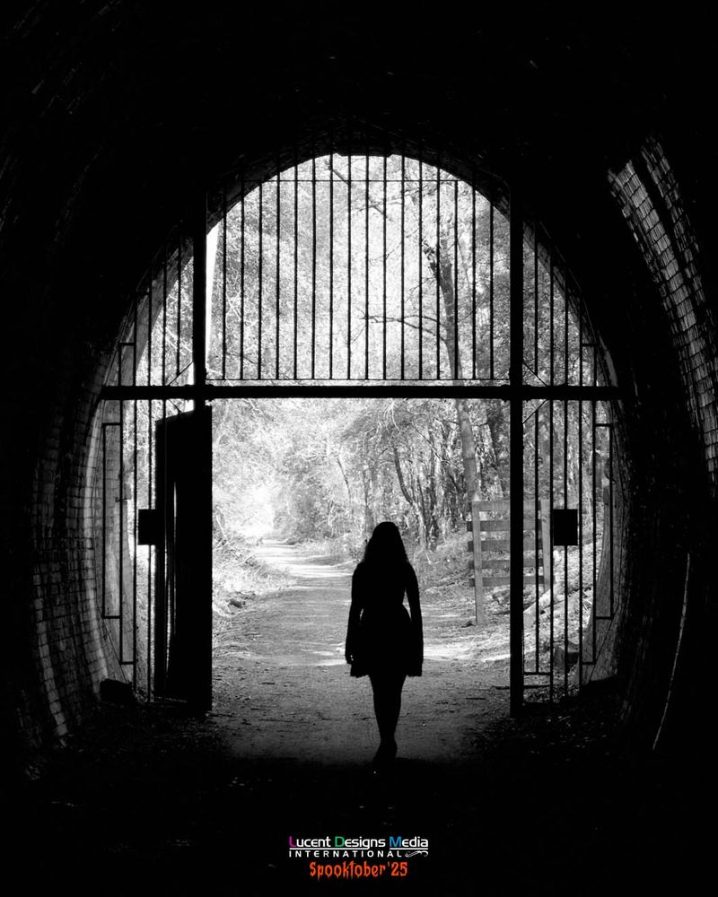 Silhouette of a person walking toward bright light at the end of a tunnel. The scene feels mysterious and eerie, set in a wooded path.