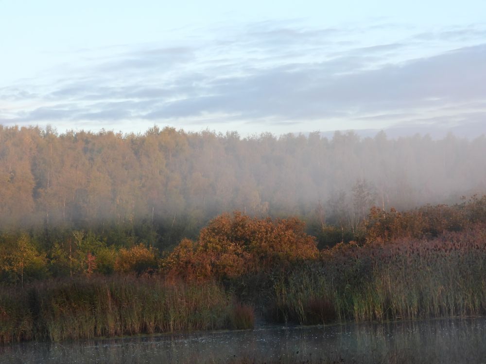 Rising dew over the Rucks 