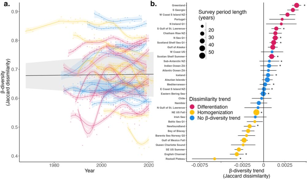 Most marine communities around the world do not have any change in beta-diversity. Some are becoming more homogenous, but some are also becoming more differentiated. Fig. 1 from Kitchel et al. 2025 PLOS Climate.