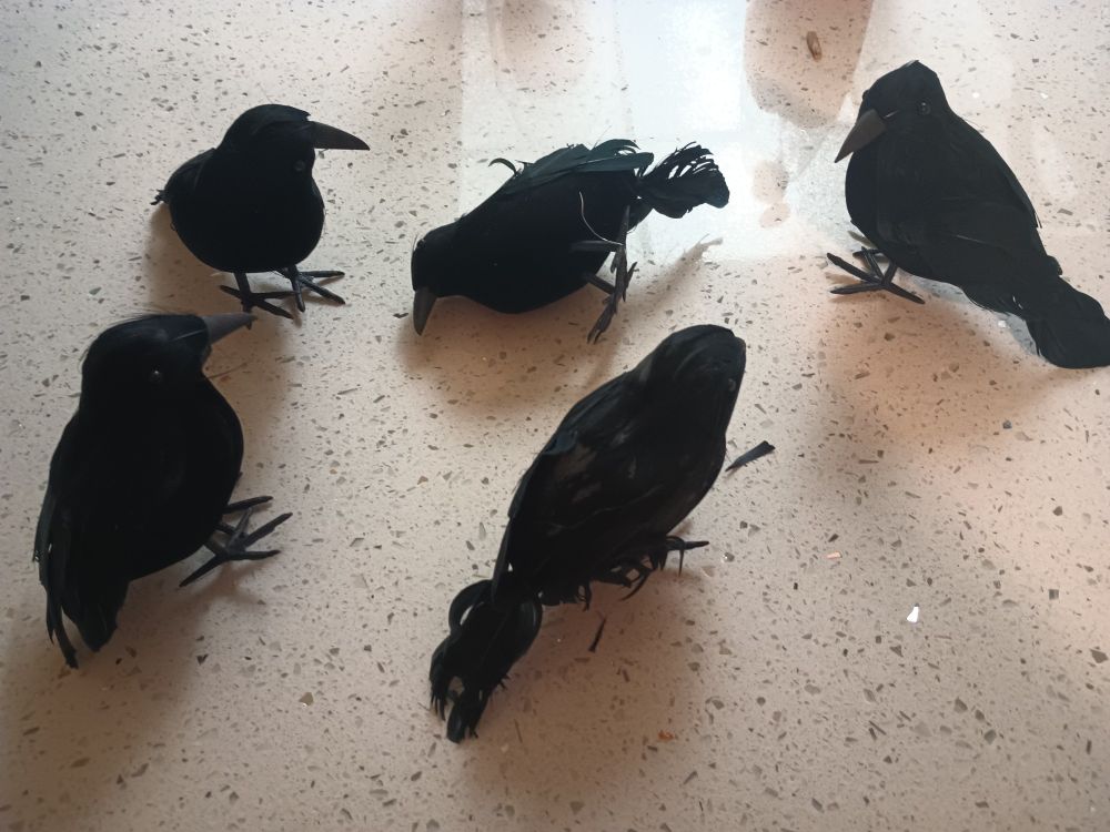 Some cheap looking fake crows