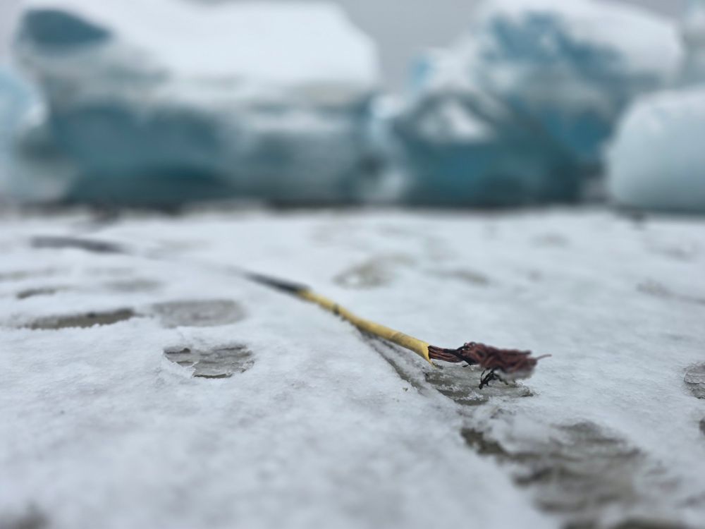 A cut cable on the ice in front of blocks of ice. 
