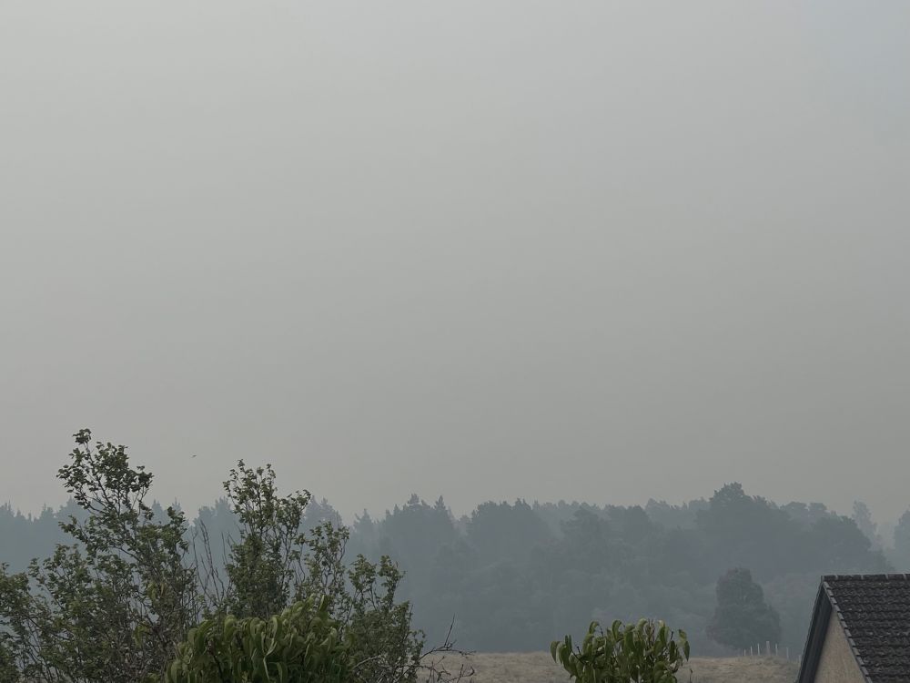 View over Abernethy Forest, in smoke filled air