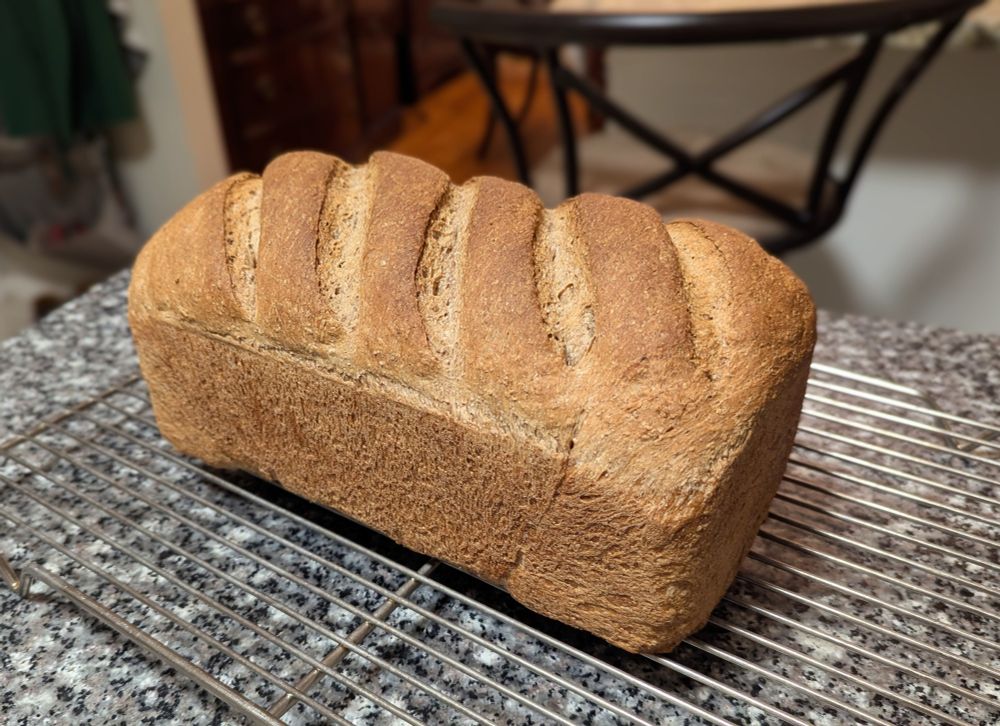 A loaf of brown bread on a cooling rack.