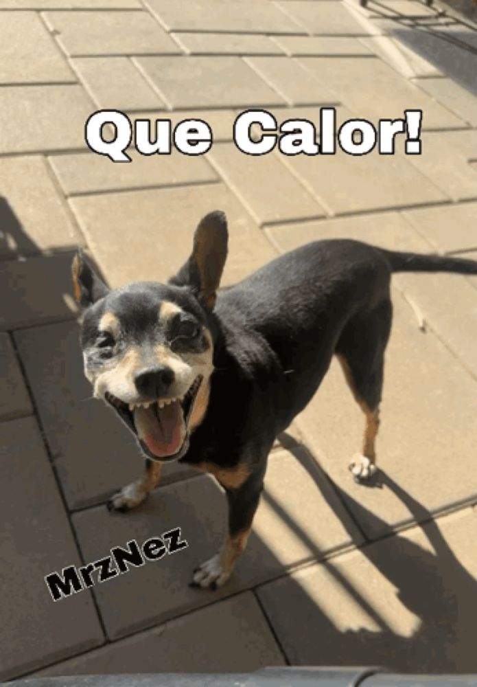 a picture of a dog that says que calor on it