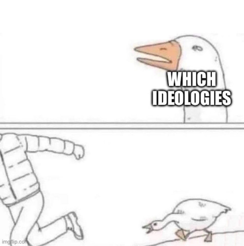 Angry goose asking “which ideologies”