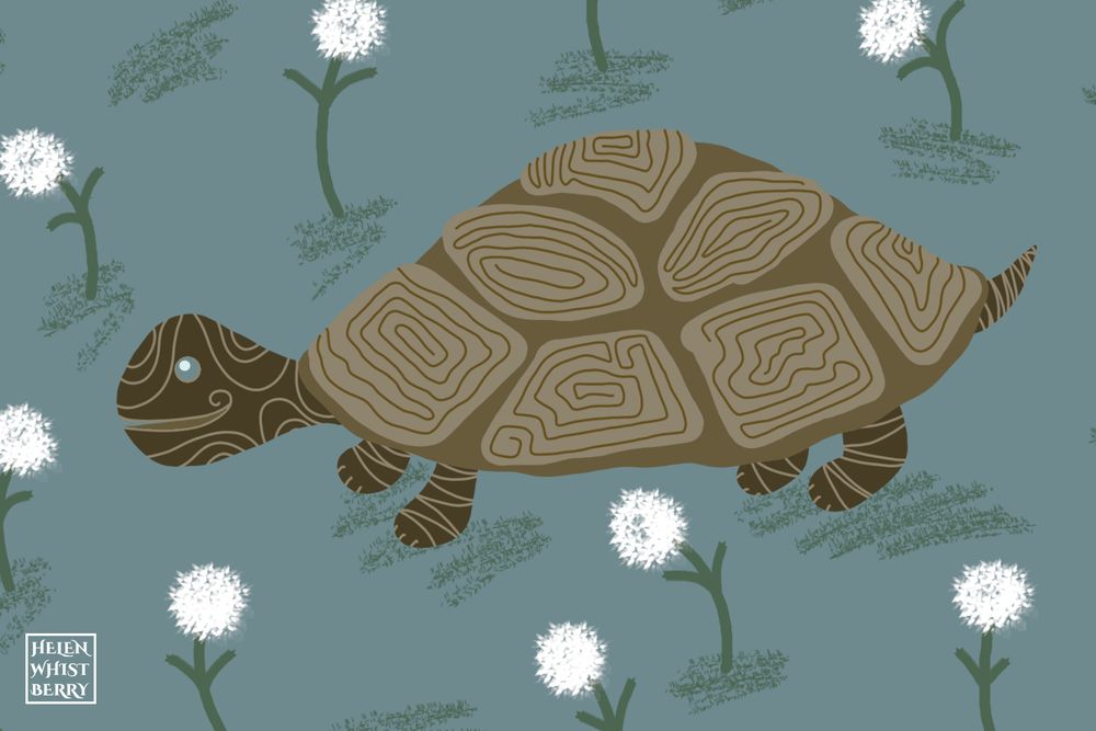 Cute drawing of a brown turtle with a beige shell and blue eye. It is smiling among little white flowers and a blue background.