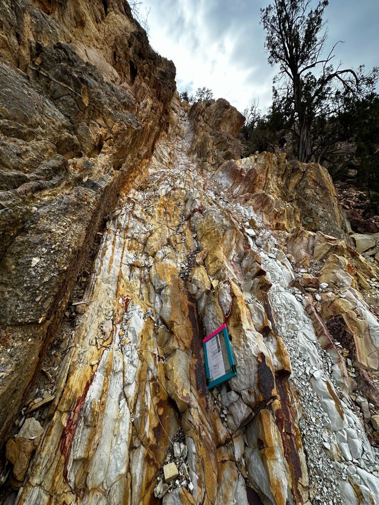 A steep slope of cracked and altered white, yellow, and red sandstone.