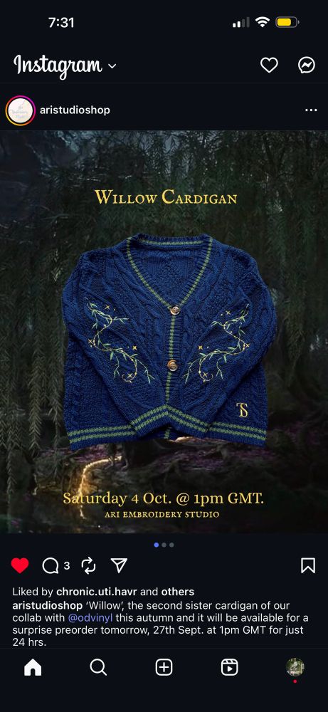 Dark blue cardigan with green vines on the arms. Called the willow cardigan by Aristudioshop. 