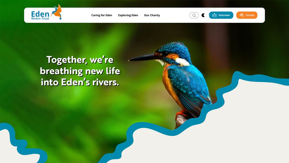 Home page of the Eden Rivers Trust website, with menu bar across the top and a large photo of a blue and orange kingfisher. Words say - Together, we're breathing new life into Eden's rivers.
