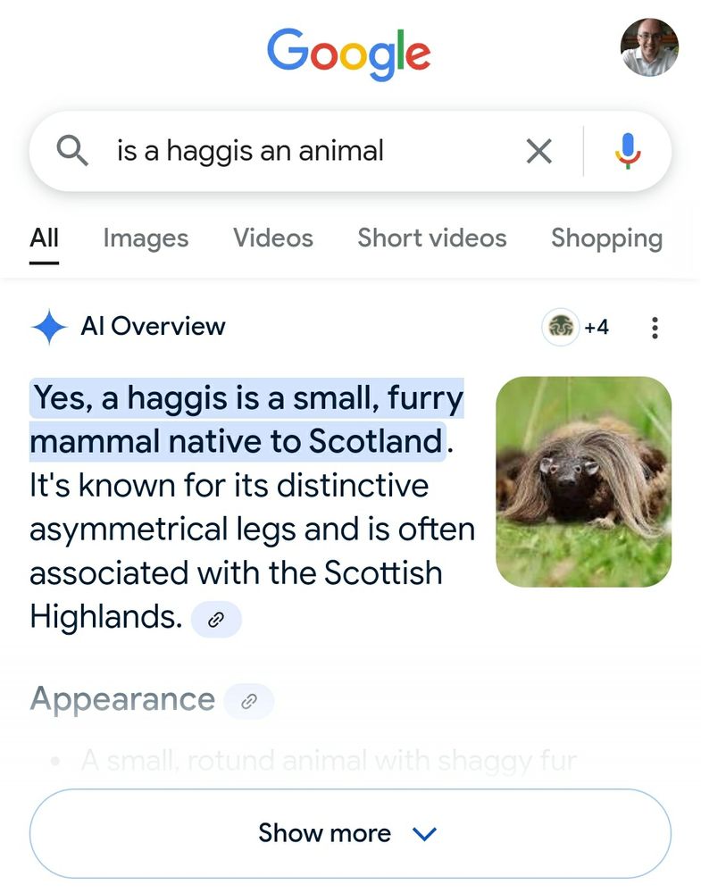 Is a Haggis an animal? Google AI Overview says yes 