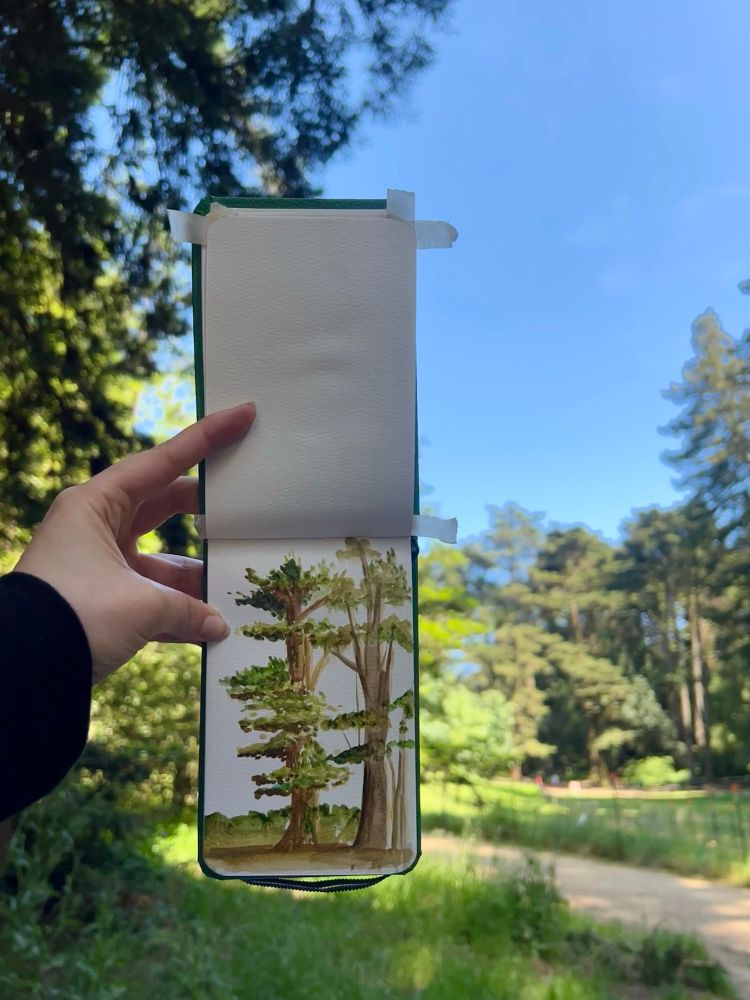 treez’s hand holding a small watercolor boomlet that is held up against a wooded area. the watercolor book has a small painting of impressions of the redwoods trees that encircle them in the forest. the painting is quick and rough but gets the idea across. the sky is a pretty blue today  