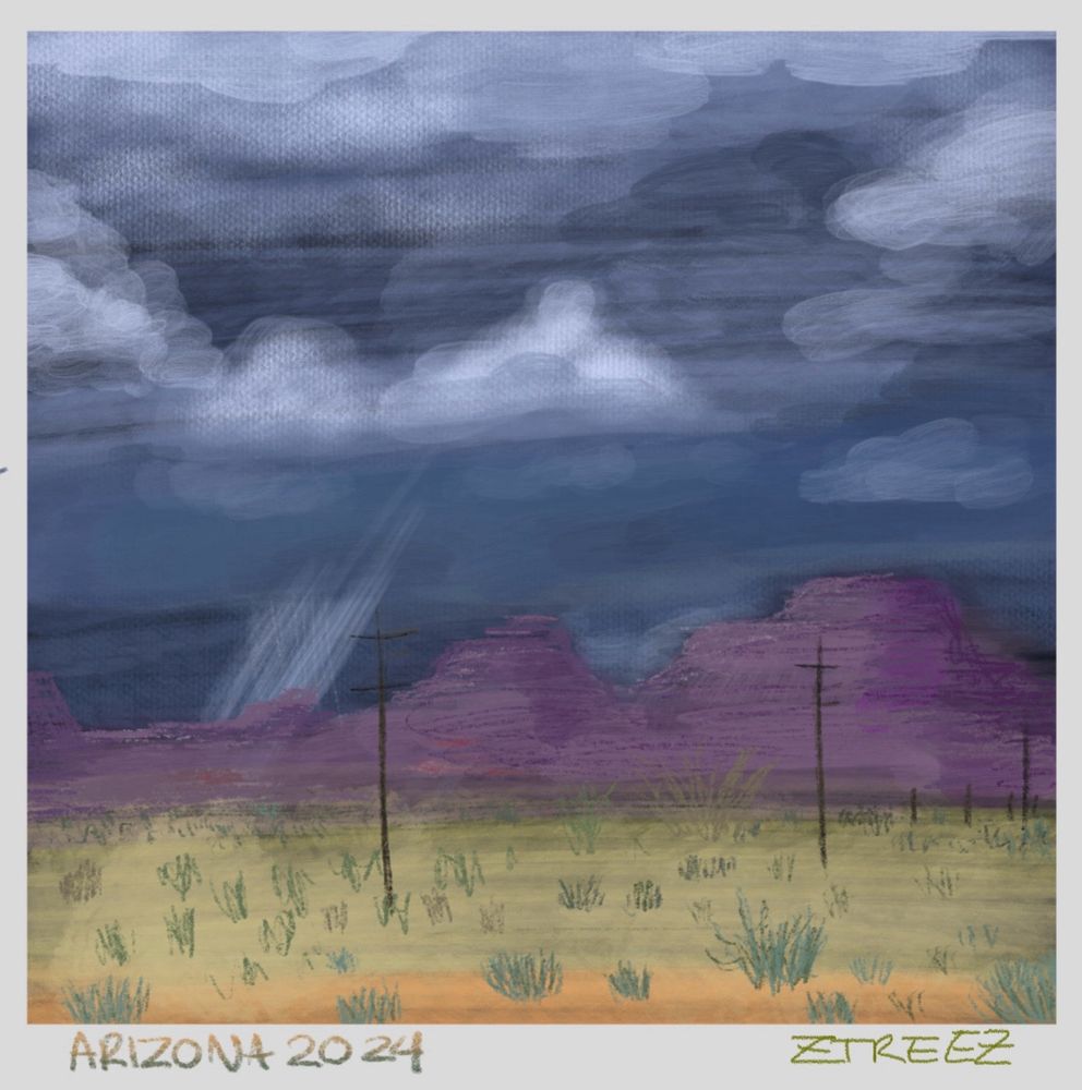 Scribble like Illustration drawing by Zoë Treez

The drawing is of an Arizona inspired landscape with stormy clouds and breaking light beams. Dry grass and small spiky bushes and purplish mountains in the distance