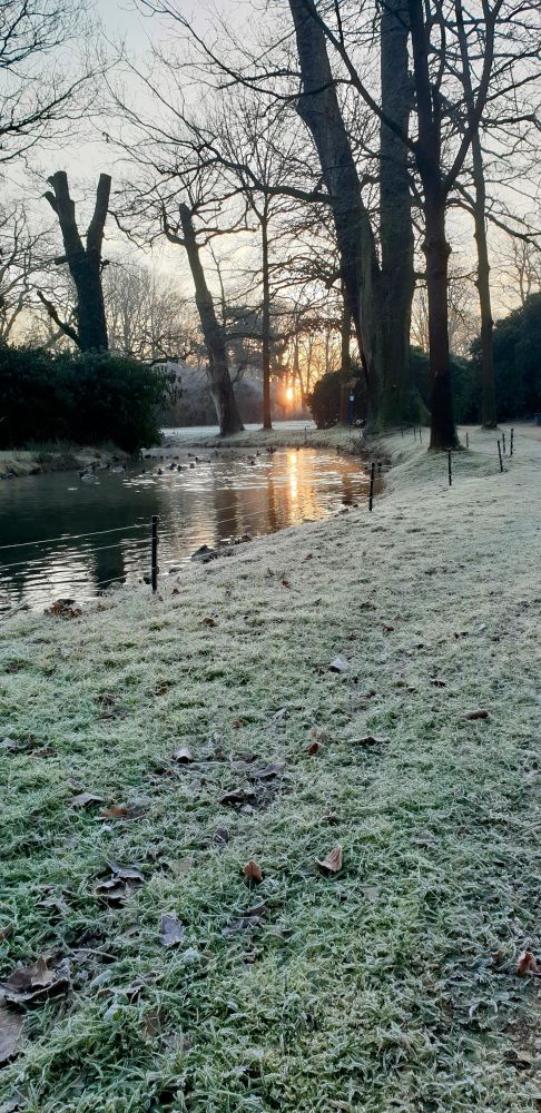 Sonnenaufgang über einer mit Frost bedeckten Parklandschaft 