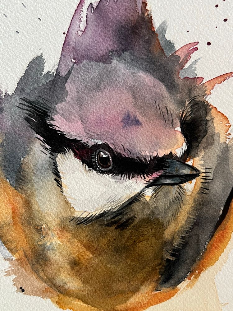 A close up of an expressive watercolour portrait of a nuthatch bird