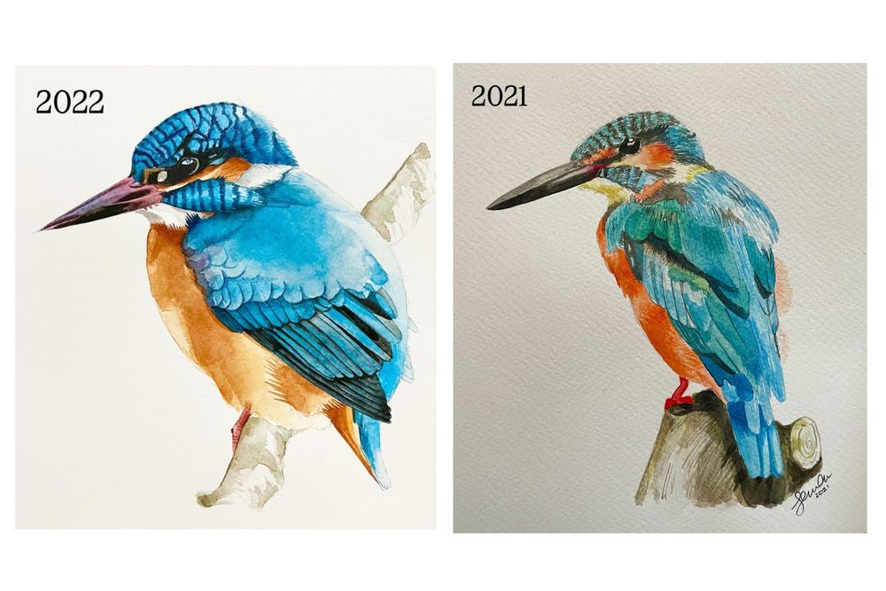 Two watercolour paintings of kingfishers, one ftom 2022 and one from 2021