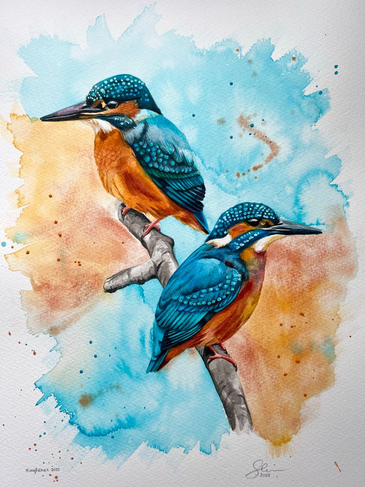 An A3 expressive watercolour painting of two young kingfishers