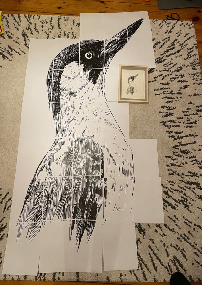 Grünspecht-Illu groß und klein