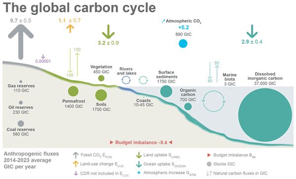 Schematic representation of the overall perturbation of the global carbon cycle caused by anthropogenic activities, averaged globally for the decade 2014–2023. See legend for the corresponding arrows. Flux estimates and their 1 standard deviation uncertainty are as reported in Table 7. The CDR estimate is for the year 2023 only. The uncertainty in the atmospheric CO2 growth rate is very small (±0.02 GtC yr−1) and is neglected for the figure. The anthropogenic perturbation occurs on top of an active carbon cycle, with fluxes and stocks represented in the background and taken from Canadell et al. (2021) for all numbers, except for the carbon stocks in coasts, which is from a literature review of coastal marine sediments (Price and Warren, 2016). Fluxes are in gigatonnes of carbon per year (GtC yr−1) and reservoirs in gigatonnes of carbon (GtC). This figure was produced by Nigel Hawtin.