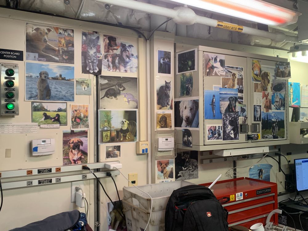 Oceanographers and ship’s crew line the walls of the research vessel NOAA Ship Oscar Dyson with photographs of their pets at home. 