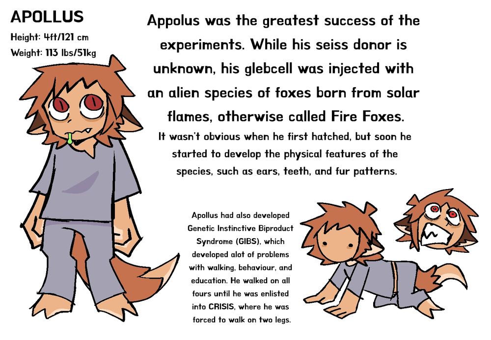 information sheet on Paul, part 1.