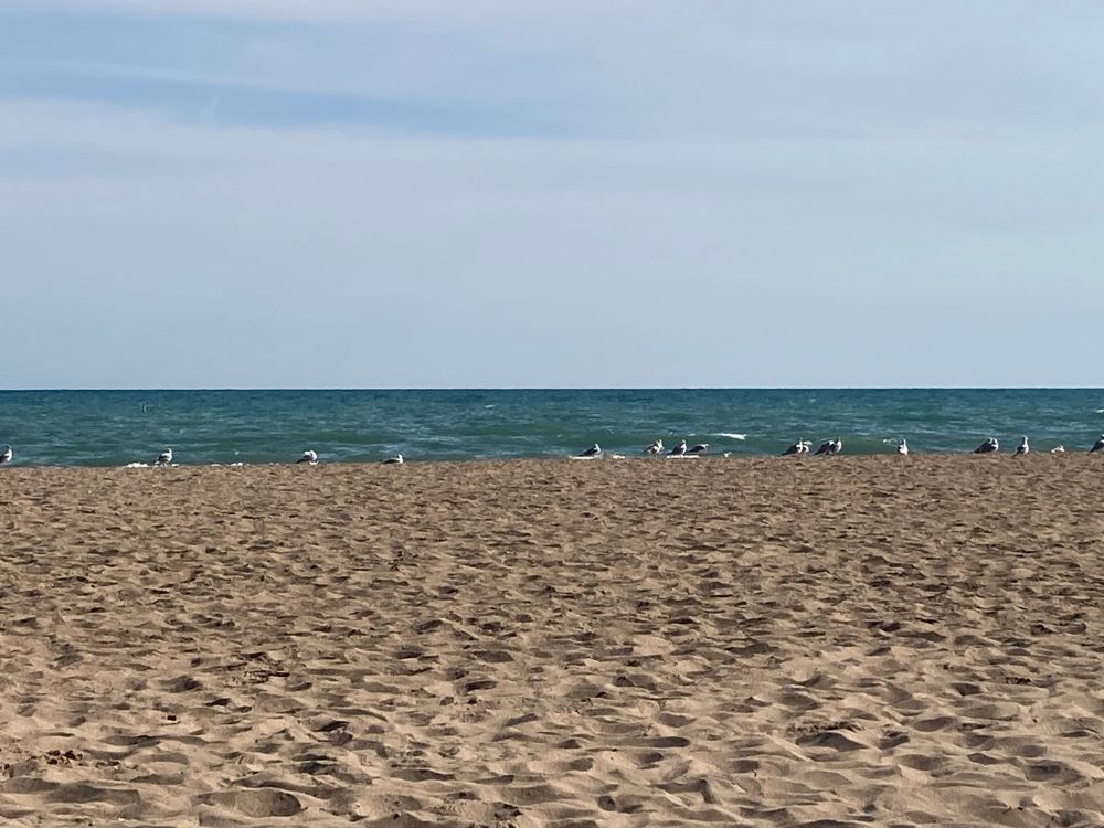 The beach in Rogers Park area of chicago