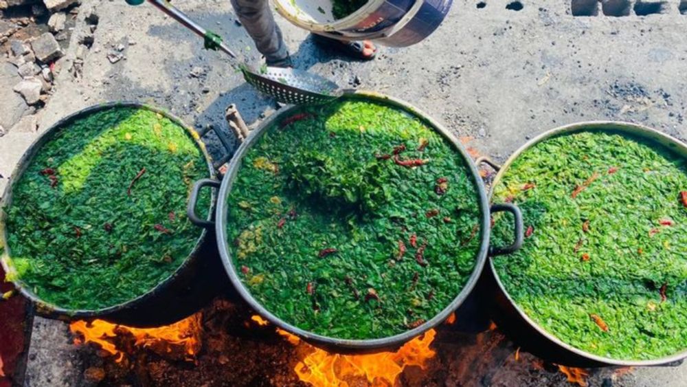 Hot meals 4 Starved Palestinian Kids in north Gaza, organized by Hani Almadhoun