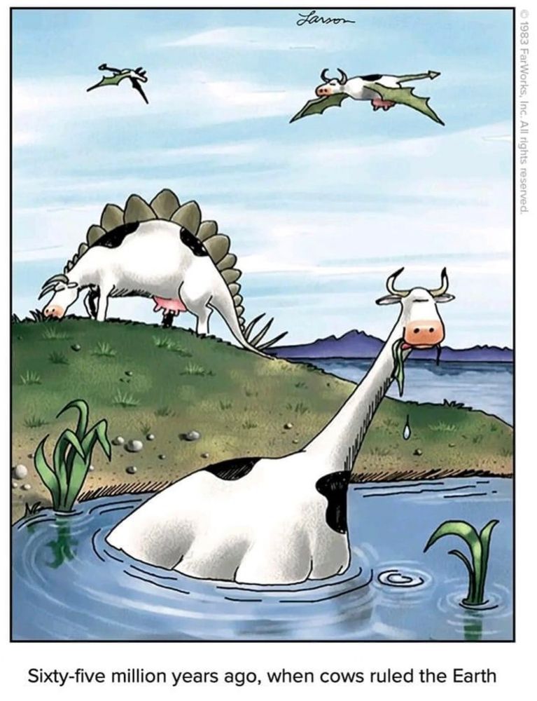 A "Far Side" cartoon by Gary Larson showing one panel of cow-like dinosaurs living life. Below the panel says "Sixty-five million years ago, when cows ruled the Earth".