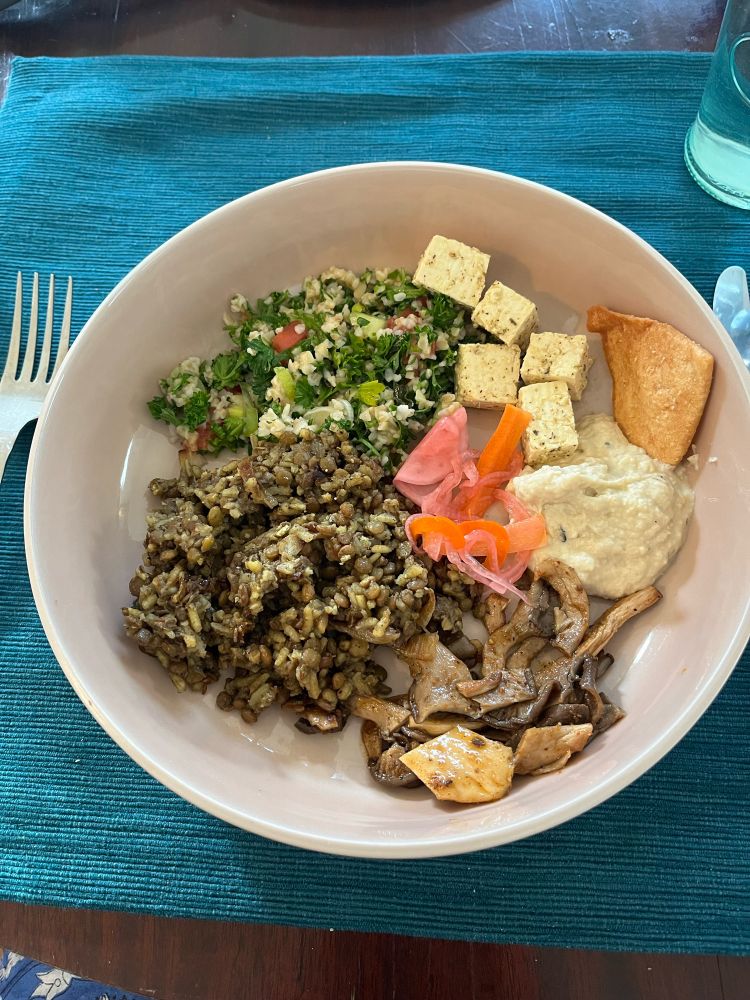 Close up of a plate with vegan 
Mujadara 
Tabbouleh
Oyster mushroom “shawarma”  
Marinated tofu “feta” 
Babaganouj (+random pita chip)

On a table with a placemat 